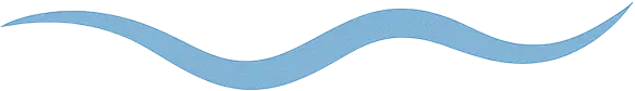 vector1